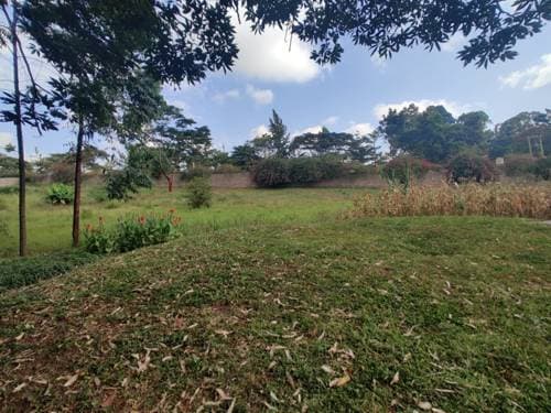 Land for Sale in Nyari