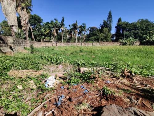 Land for Sale in Runda