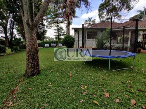 Land for Sale in Spring Valley