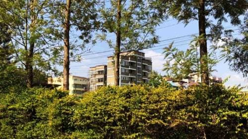 1 and a Quatre Acres Land for Sale in Ruiru Behind Zetech University